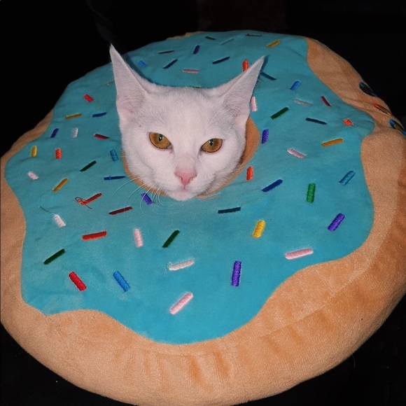 Meet your Posher, Maya - Picture 1 of 1